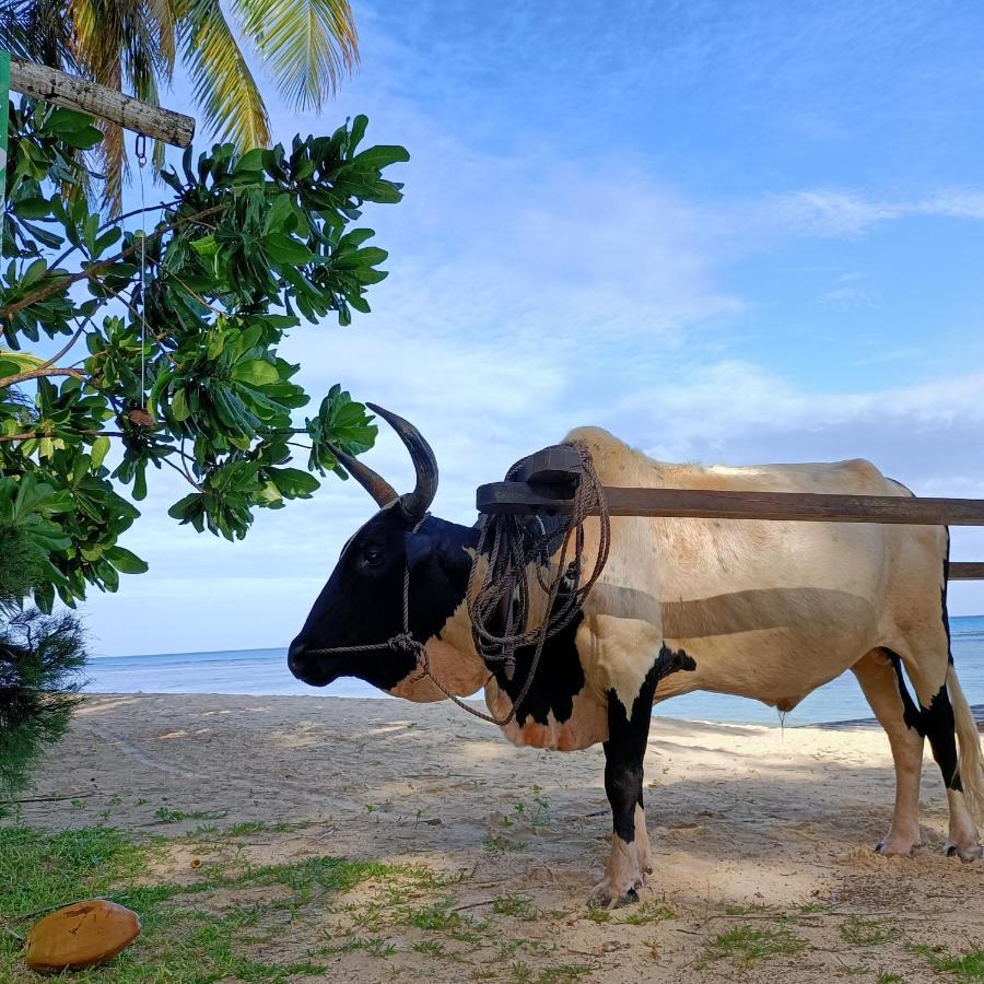 Princesse Bora Lodge & Spa Ile Sainte-Marie Luaran gambar